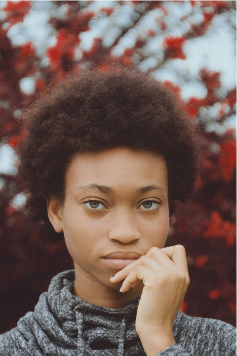 Directeur de la publication